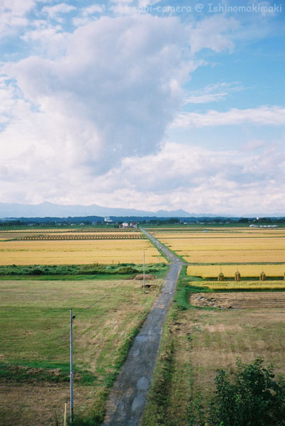 田園地帯の秋景色_f0164826_21294919.jpg