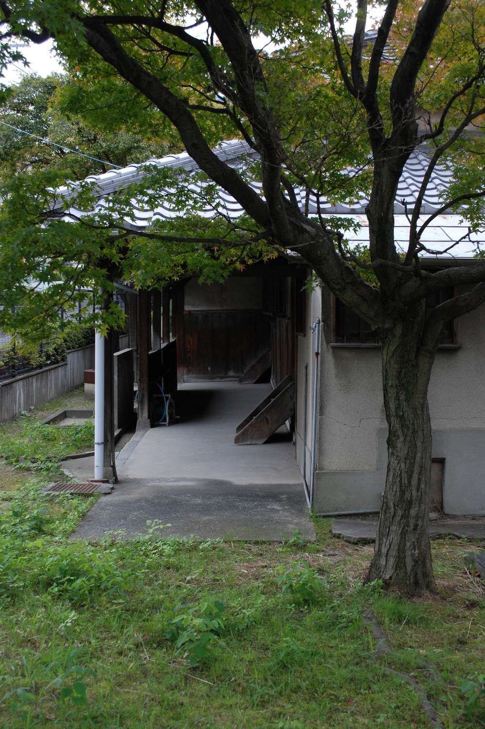 b0069128_17565572.jpg