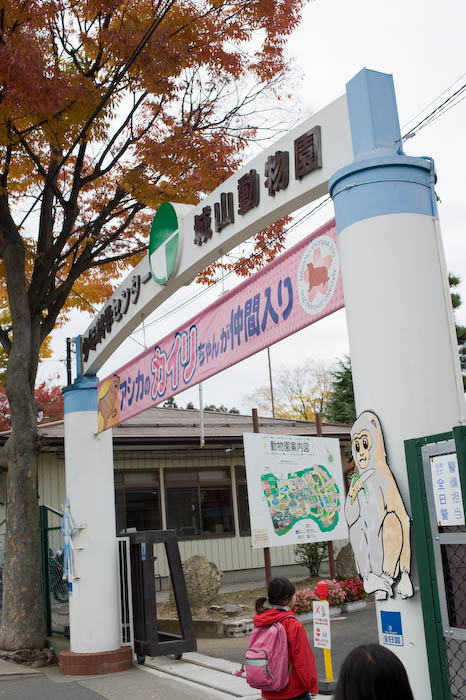 散歩　市内〜動物園_e0130134_1423185.jpg