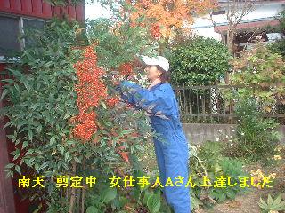 かなりのボリュームです。_f0031037_19301544.jpg