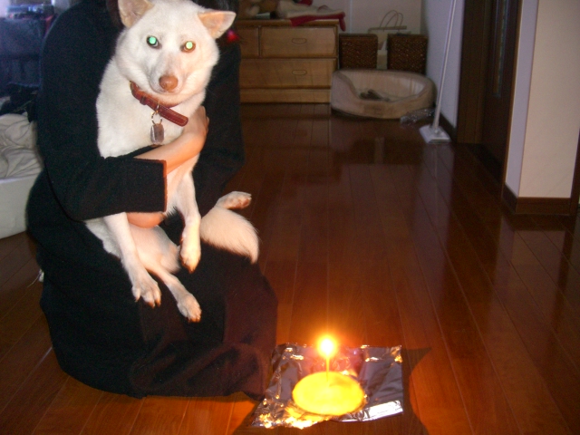c0026843_2012365.jpg