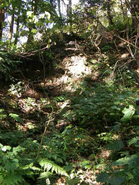 e0126946_1844238.jpg