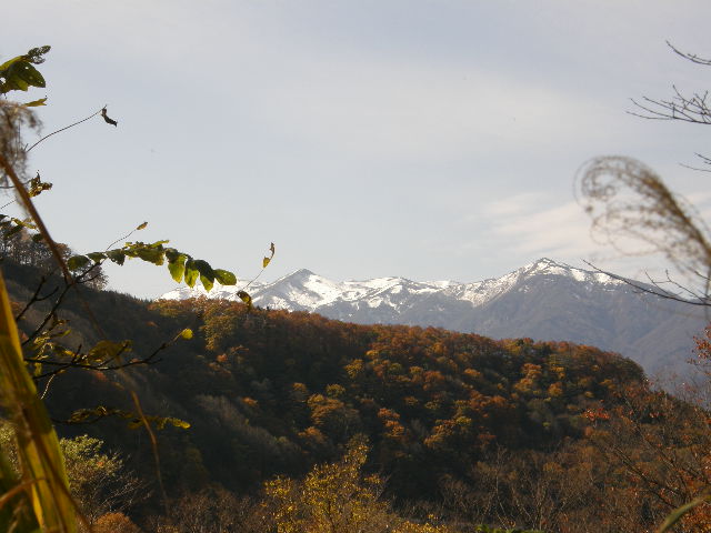 e0126946_18445039.jpg