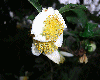 f0031546_1656023.gif