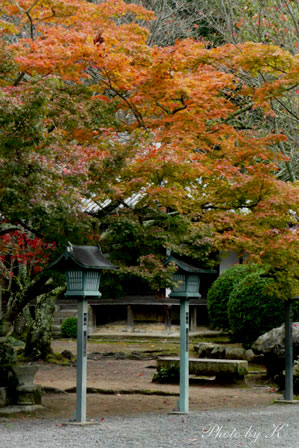 c0127748_65631.jpg