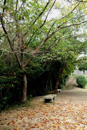 c0127748_852220.jpg