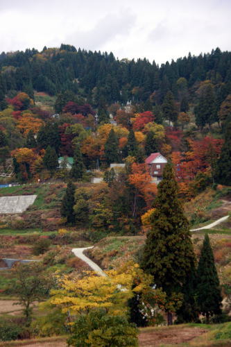 f0082348_9324869.jpg