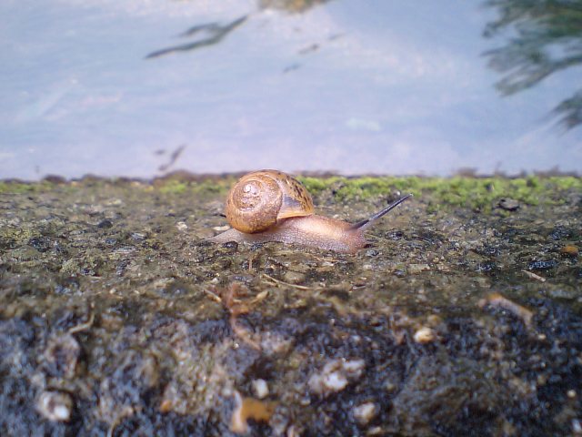 d0125059_8344584.jpg