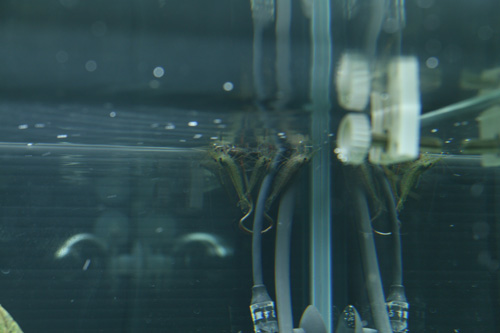 d0055262_20315596.jpg
