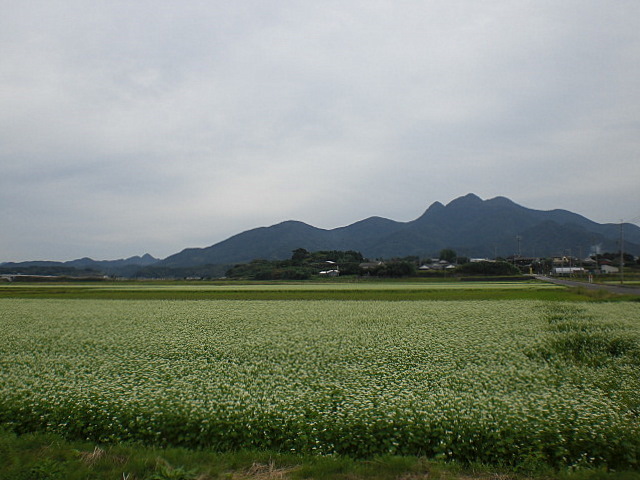 b0149867_20202456.jpg