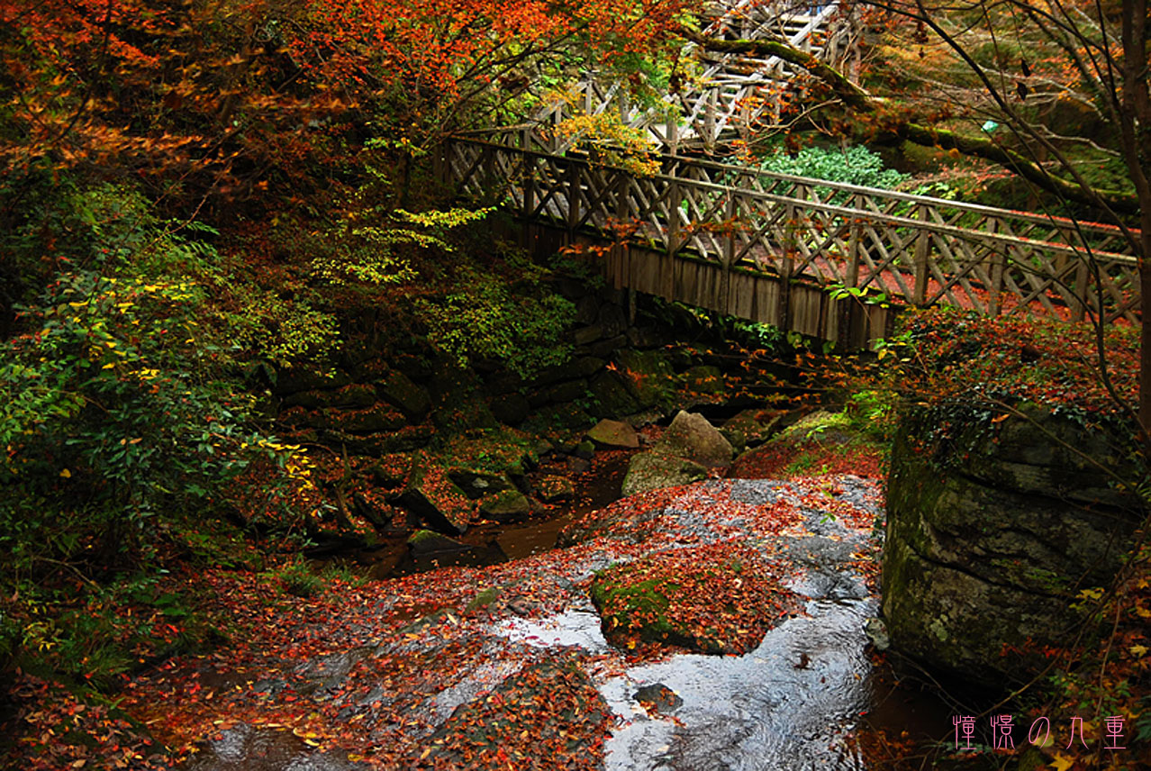 紅葉の散歩道 [山中渓谷PART2]_f0173067_102039.jpg