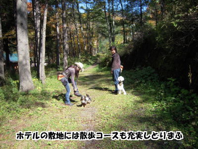 おかんの秋の飛騨高山旅行 パート5_d0020869_12393155.jpg