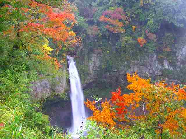 b0047184_1455337.jpg