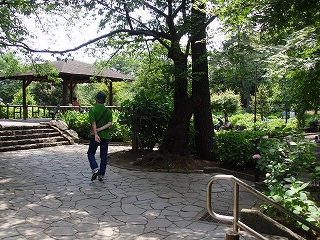 c0105785_10114244.jpg