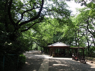 c0105785_9145045.jpg