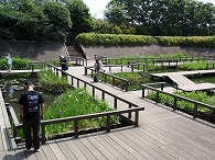 c0105785_9174512.jpg