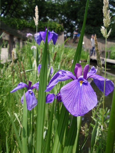 c0105785_9234230.jpg