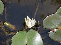 c0105785_9374817.jpg