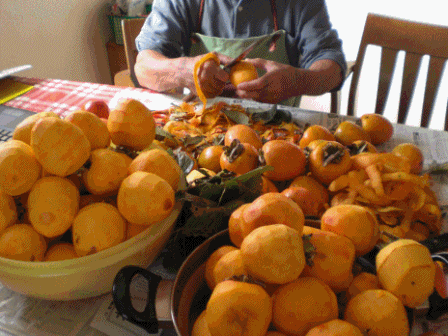 f0129585_18473673.gif