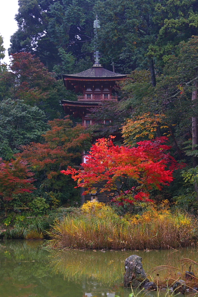 浄瑠璃寺_e0051888_634797.jpg