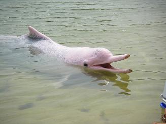 e0121993_8222210.jpg