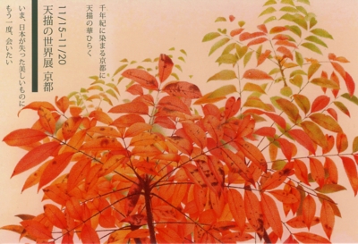 長谷川雅清「天描の世界展　京都」_a0030594_21464563.jpg