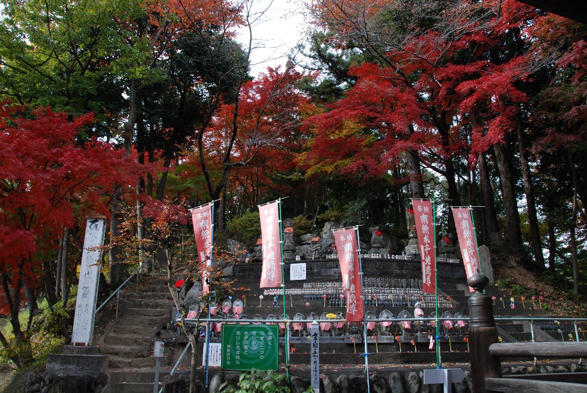 札所1番四萬部寺のもみじ_e0124594_19193121.jpg