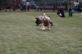 c0128303_22285025.jpg
