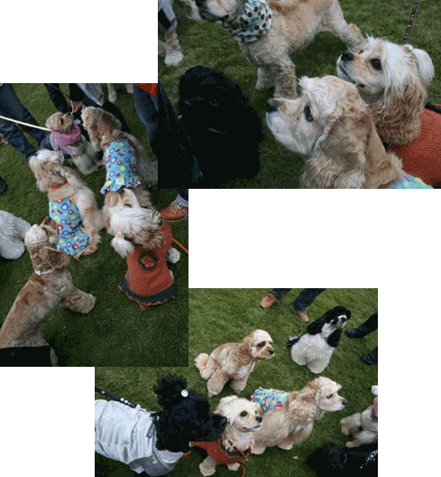 c0128303_22385847.gif