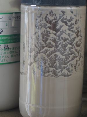 d0138203_14463417.jpg