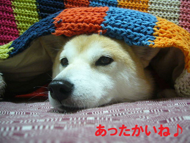 e0131506_0124963.jpg