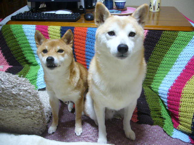 e0131506_0332965.jpg