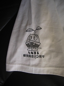 横浜マラソン_a0036808_13355342.jpg