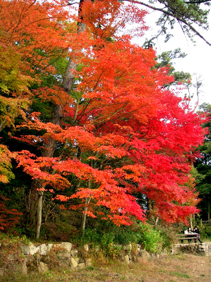 08.11.11(火) ♪びわこおんせ~ん~ホテル紅葉♪_a0062810_17411798.jpg