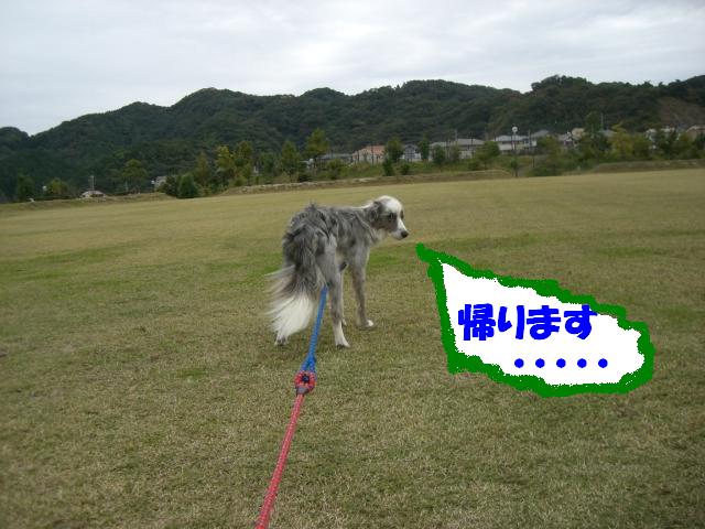 b0137913_1103972.jpg