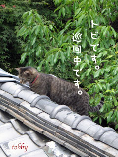 e0156015_23424439.jpg
