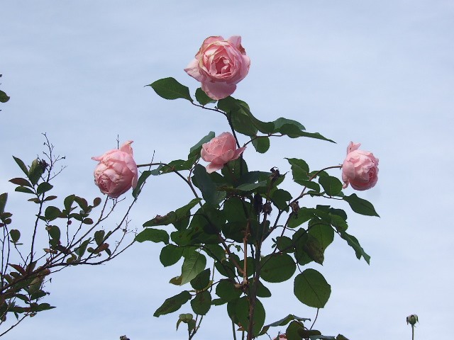 f0143119_22294991.jpg