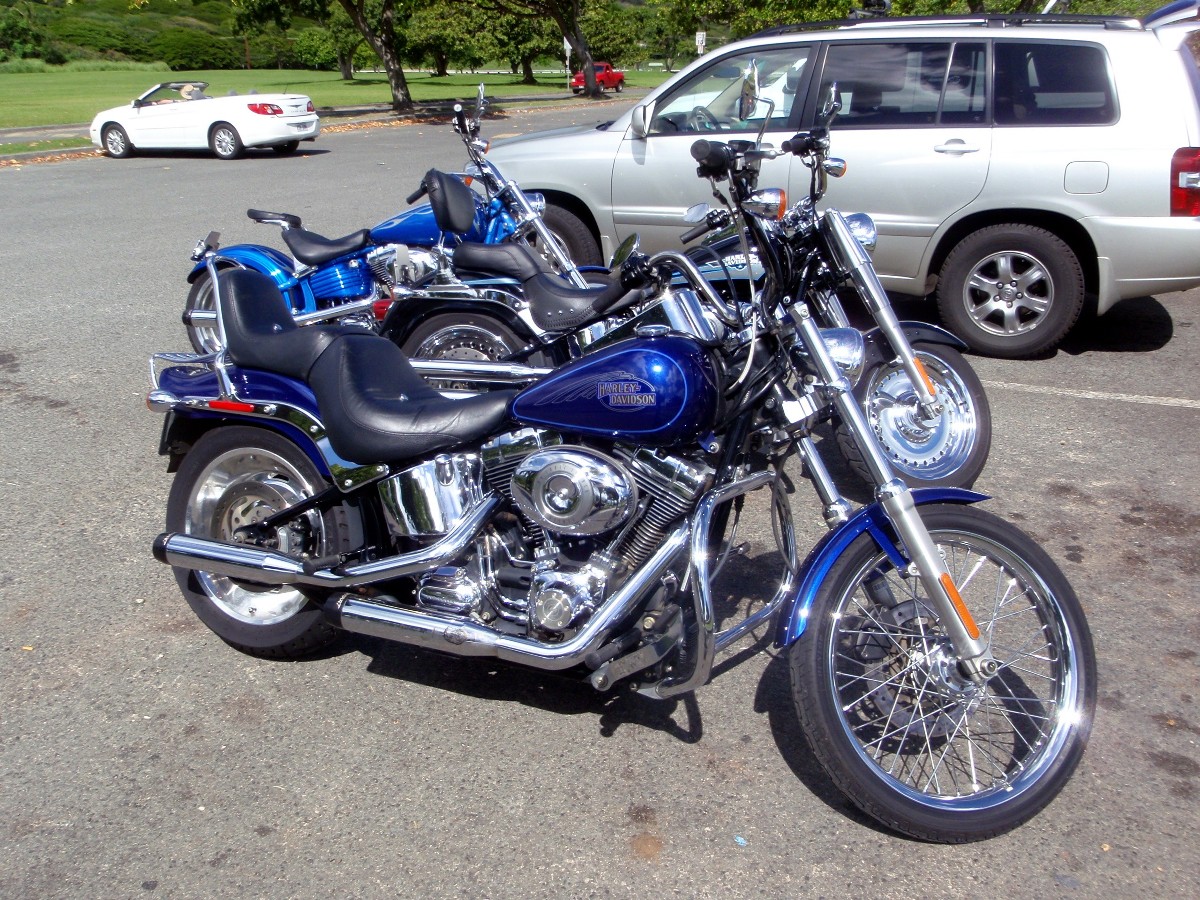 a0001020_23224976.jpg