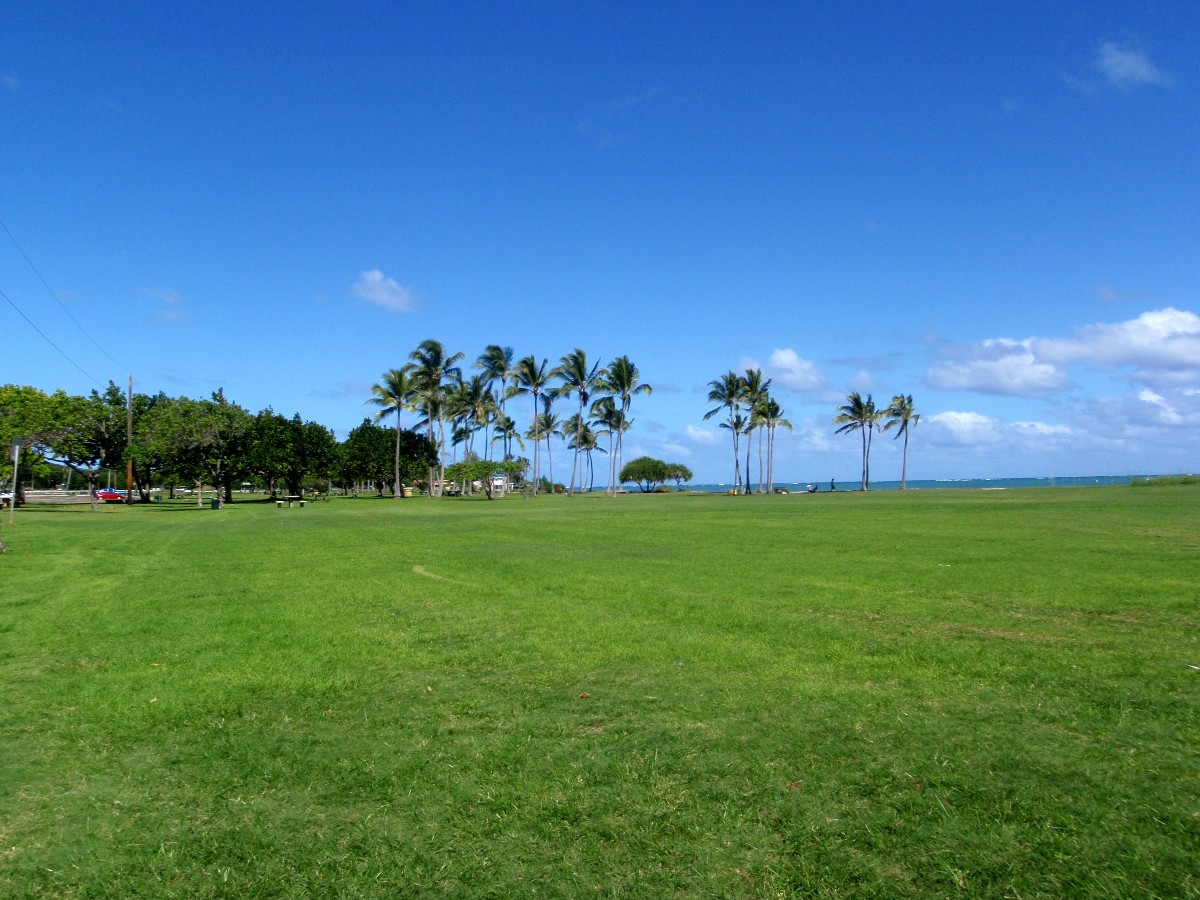 a0001020_23251772.jpg