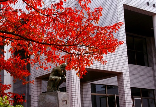 c0166720_1291070.jpg
