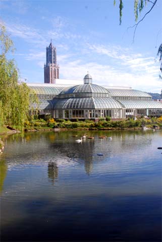 c0059521_6585175.jpg