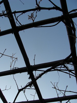 f0170524_1720668.jpg