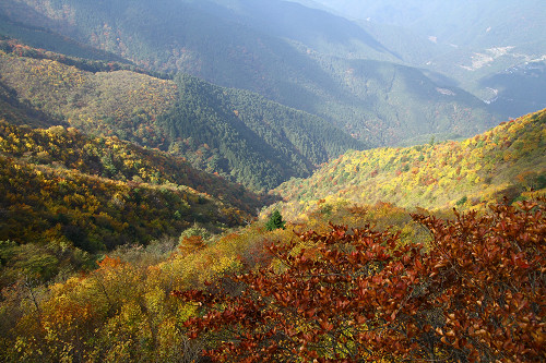 百前森山から果無山脈へ（ブナの平、石地力山）_c0119036_17171269.jpg