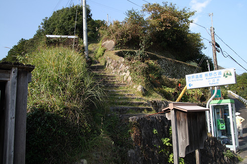 百前森山から果無山脈へ（ブナの平、石地力山）_c0119036_1731337.jpg