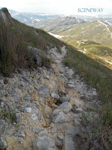 香港　新界北西部屯門　青山-Castle Peak 583m を行く (2)_b0075737_23431616.jpg