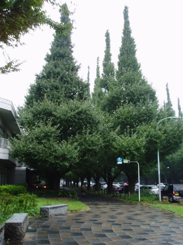 f0063944_15685.jpg