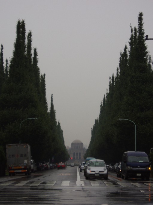 f0063944_16836.jpg