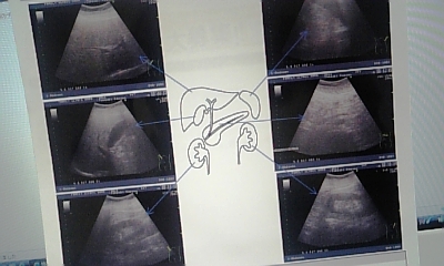 c0038548_9253881.jpg