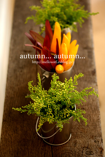 autumn... autumn..._d0124248_1414132.jpg