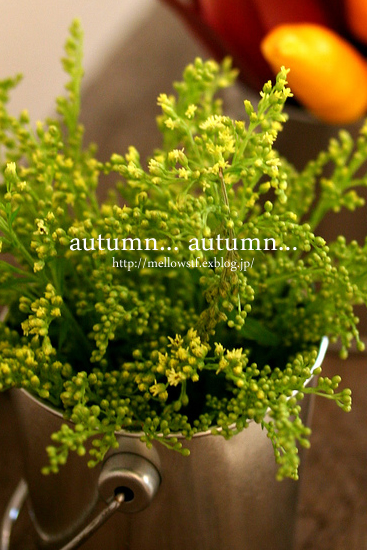 autumn... autumn..._d0124248_145313.jpg